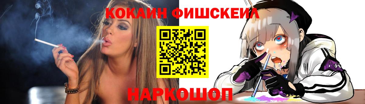 Новозыбков  как найти   Вход с VPN  КОКАИН Fish Scale  КОКАИН Columbia  Cocaine 