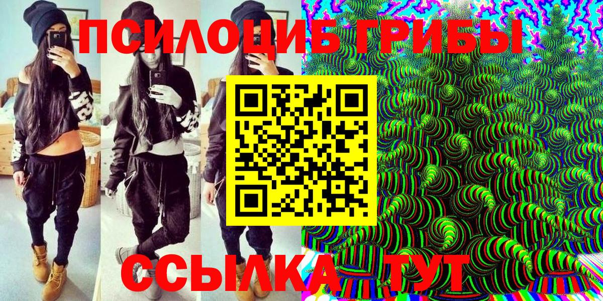 Галлюциногенные грибы Psilocybine cubensis Новозыбков