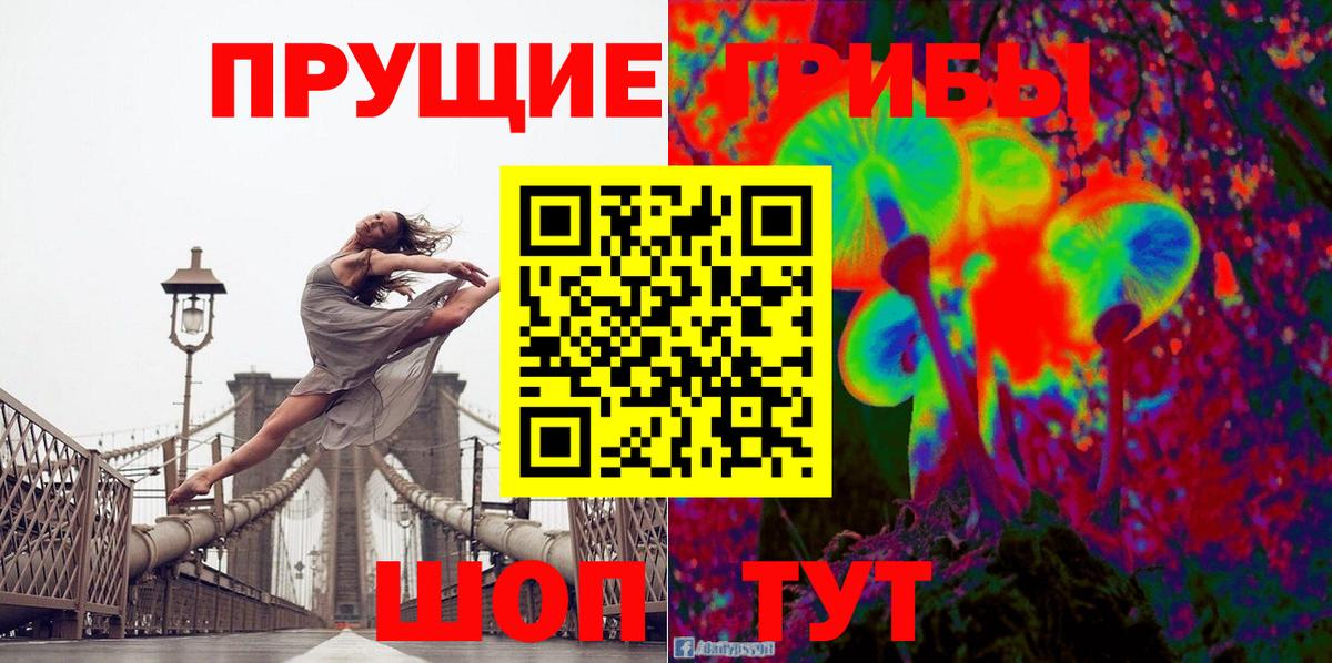 Новозыбков  Галлюциногенные грибы ЛСД  Вход с VPN 
